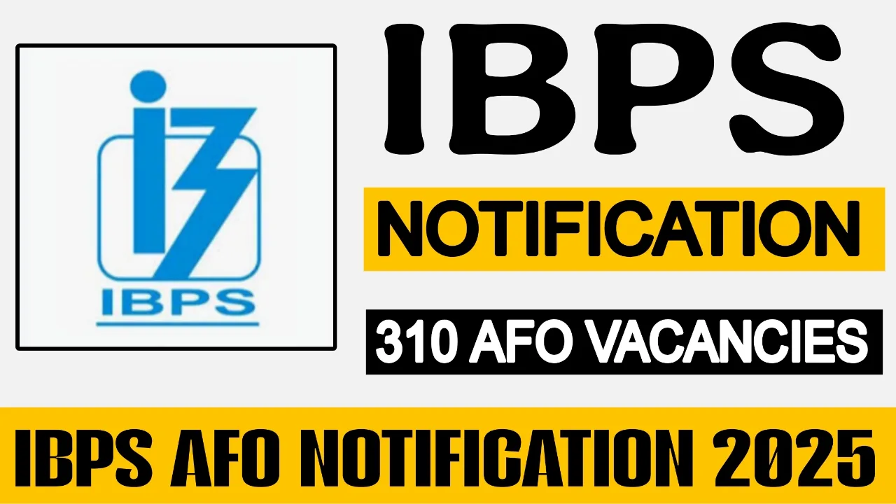 IBPS AFO Notification 2025